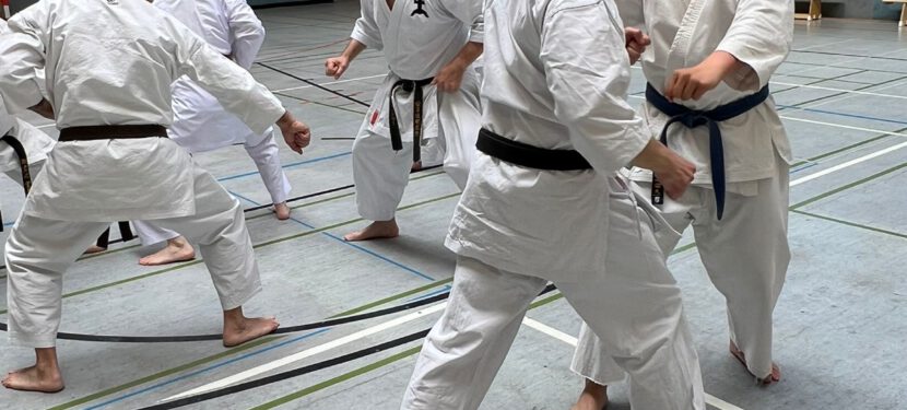 Lehrgang mit Kyoshi Christian Winkler am 25.04.2026